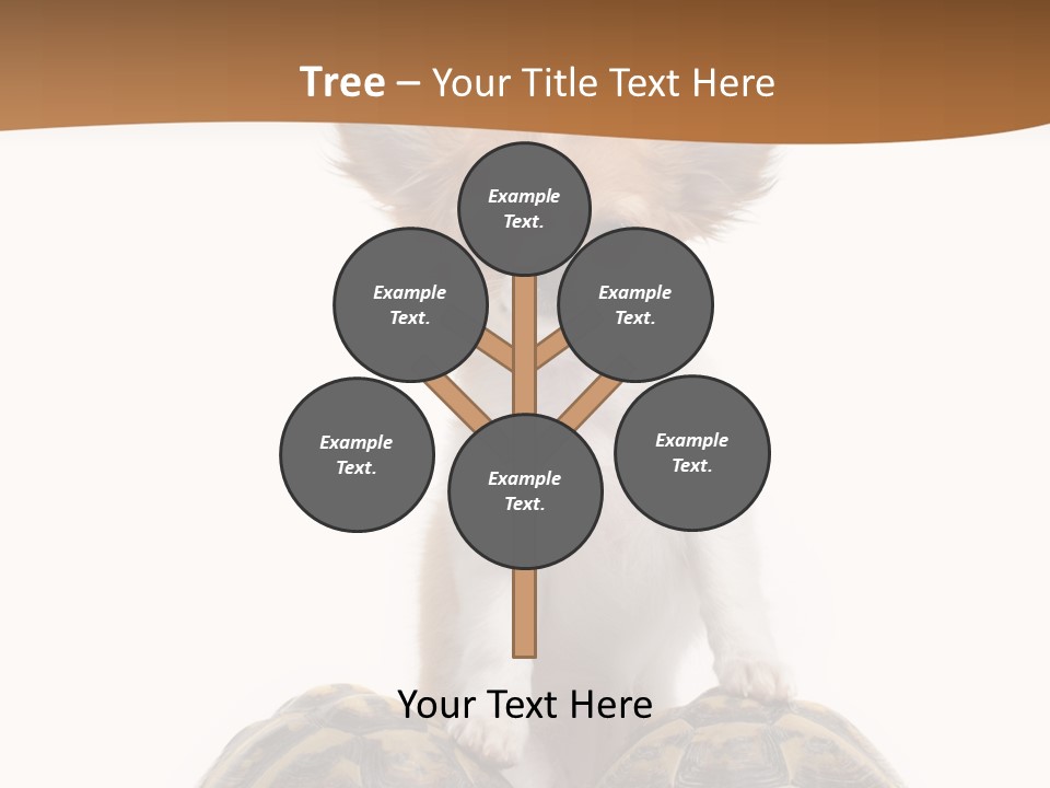 Two Reptile Brown PowerPoint Template