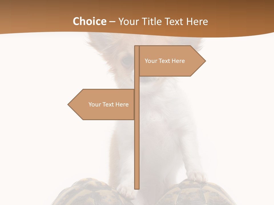 Two Reptile Brown PowerPoint Template