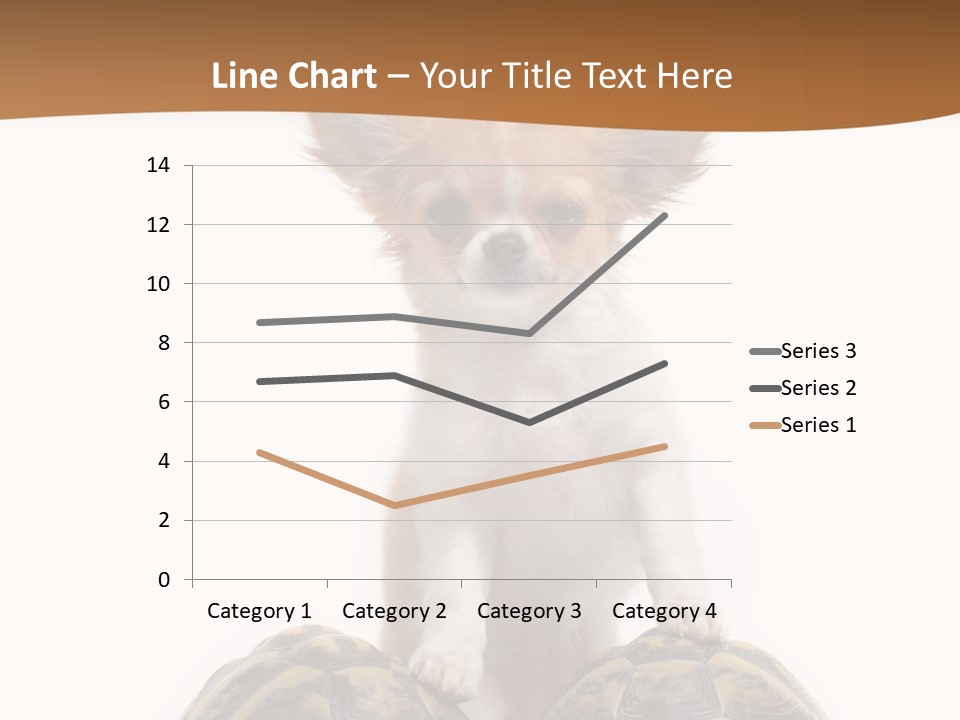 Two Reptile Brown PowerPoint Template