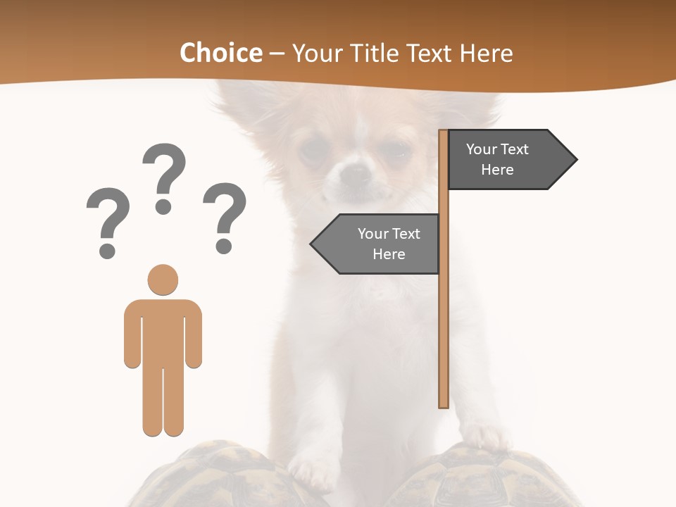 Two Reptile Brown PowerPoint Template
