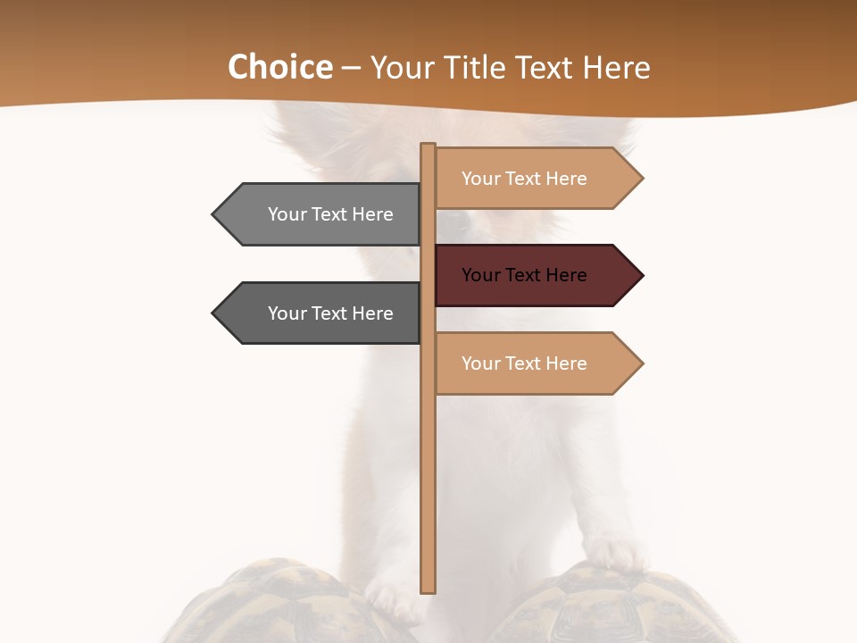 Two Reptile Brown PowerPoint Template