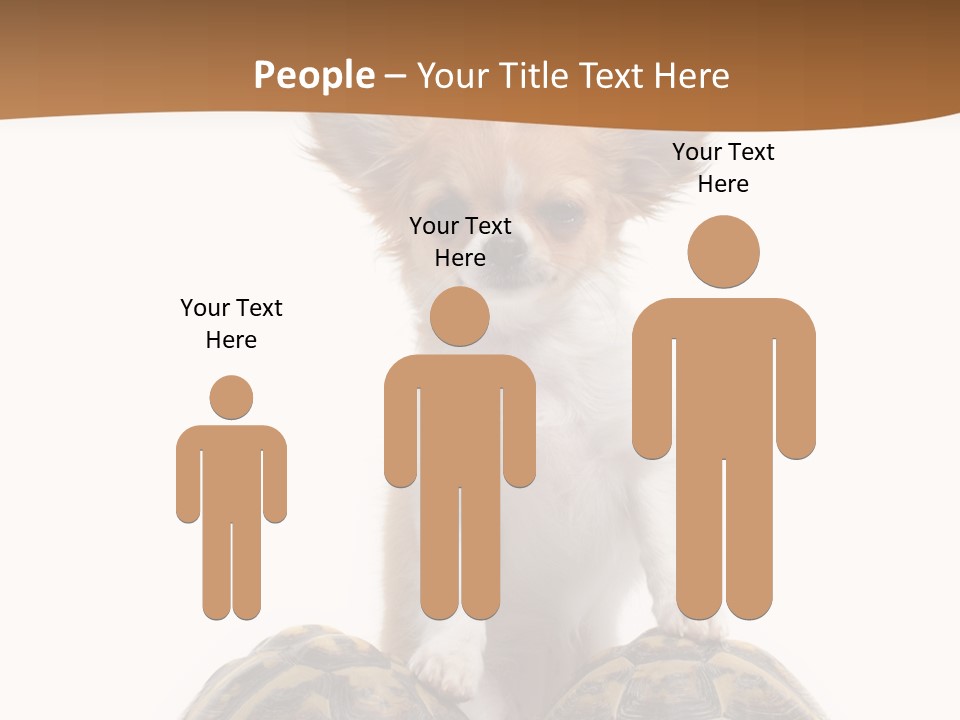 Two Reptile Brown PowerPoint Template