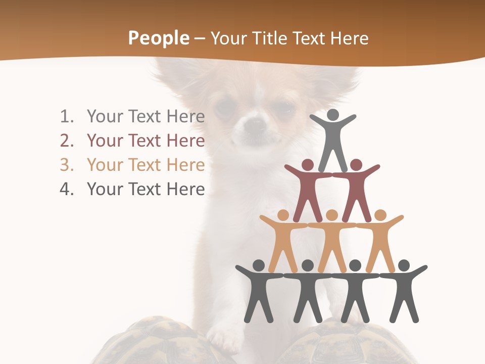 Two Reptile Brown PowerPoint Template