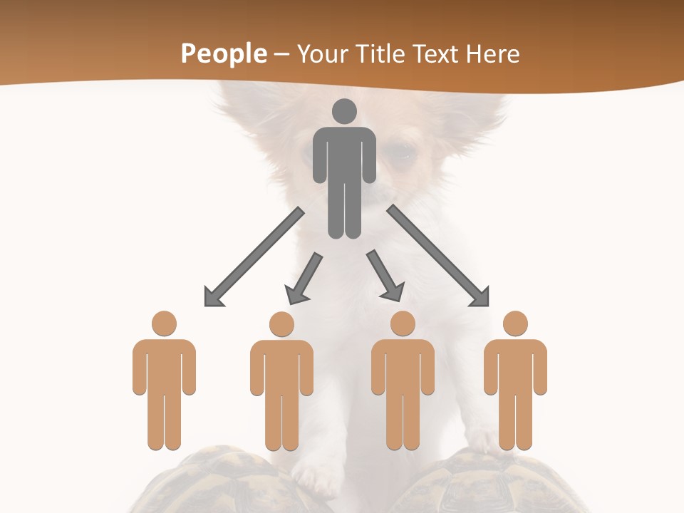 Two Reptile Brown PowerPoint Template