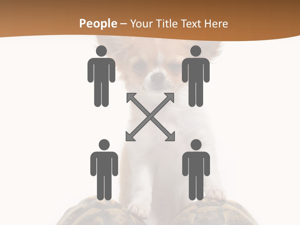 Two Reptile Brown PowerPoint Template