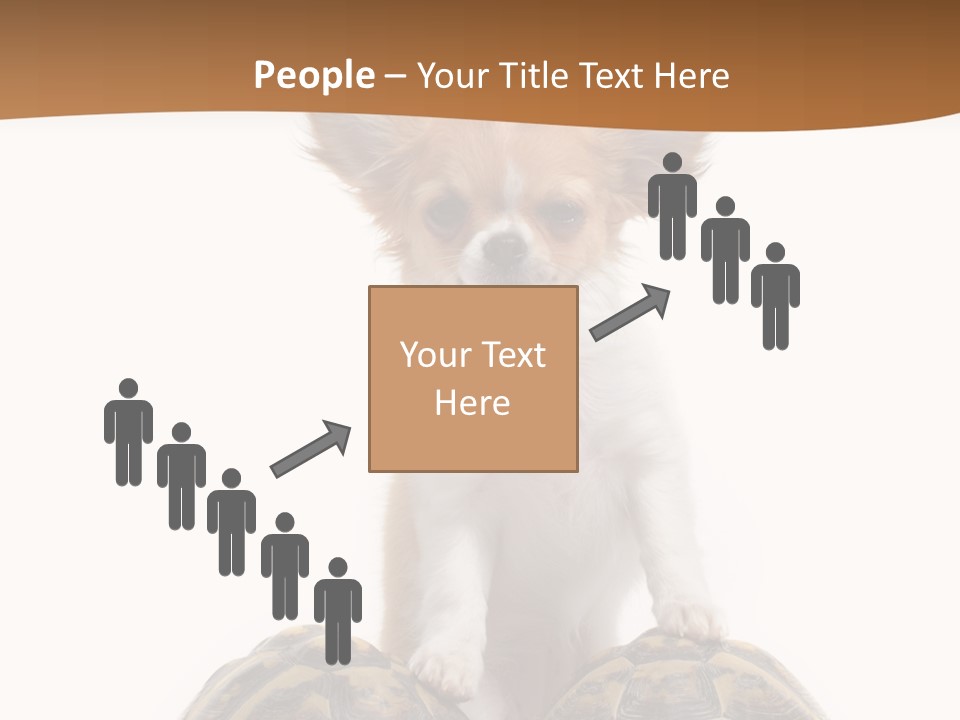 Two Reptile Brown PowerPoint Template