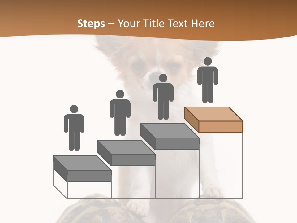 Two Reptile Brown PowerPoint Template