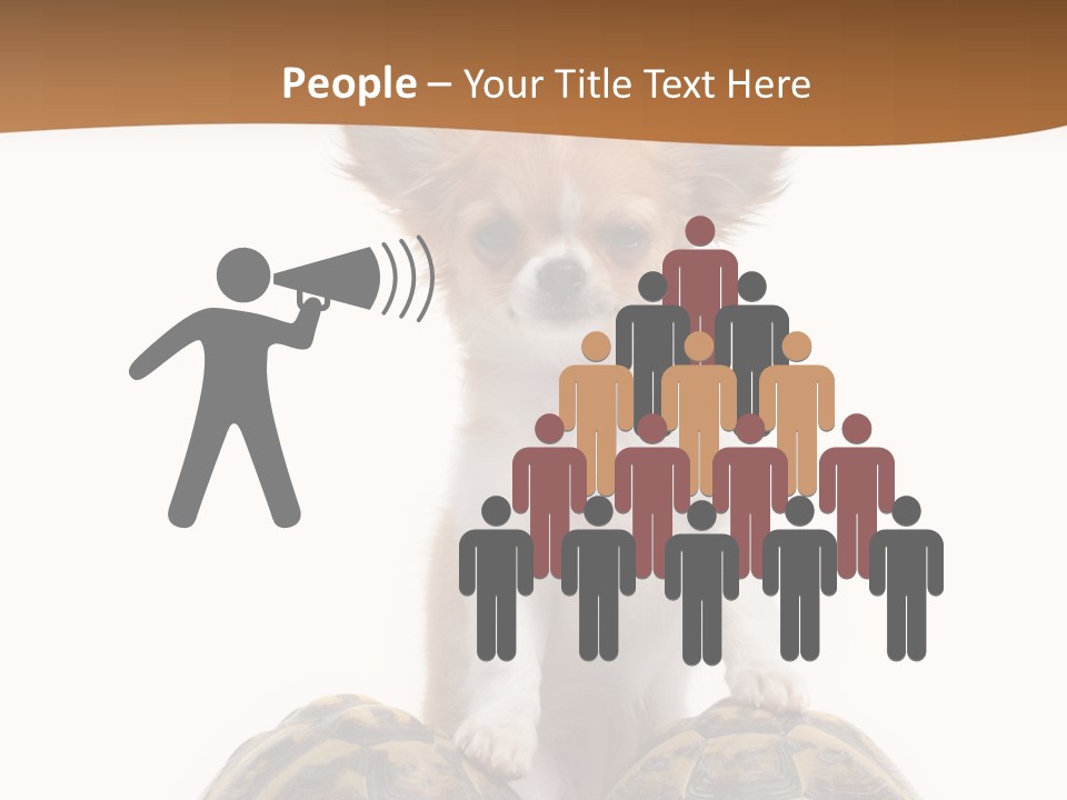 Two Reptile Brown PowerPoint Template