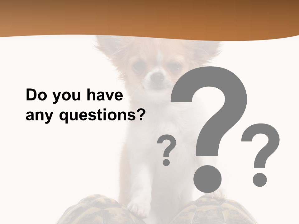 Two Reptile Brown PowerPoint Template