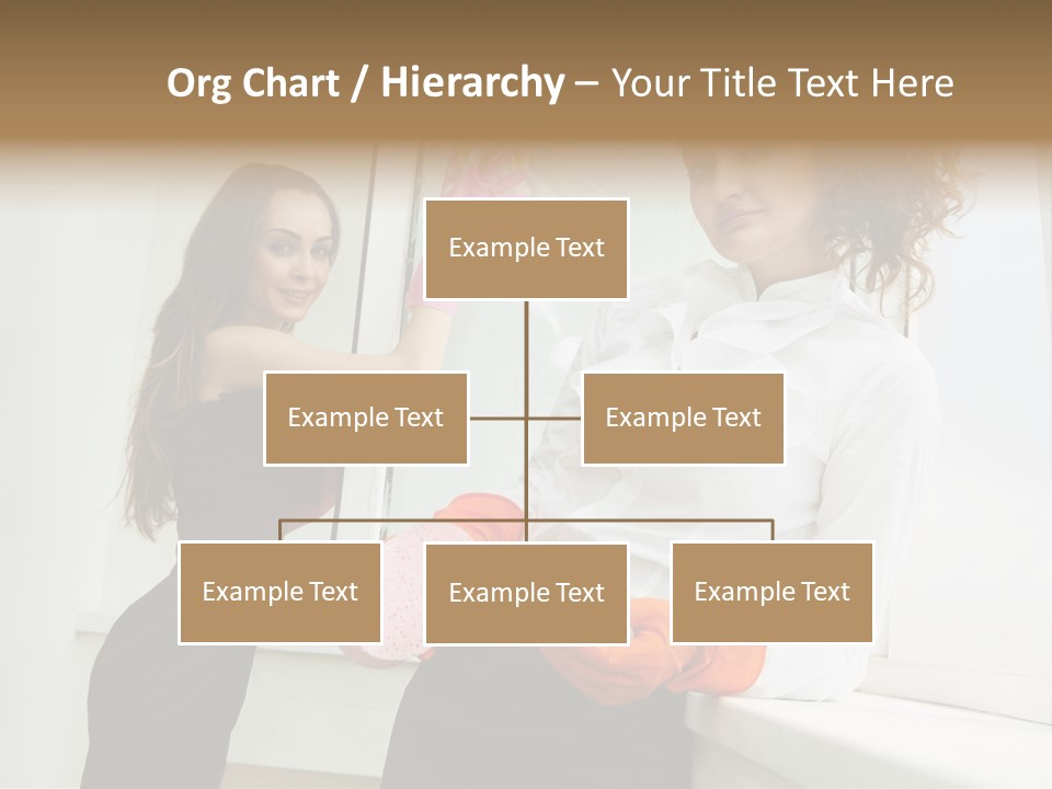 Glass Home Housekeeper PowerPoint Template