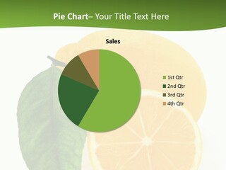 Natural Leaf Seasonal PowerPoint Template