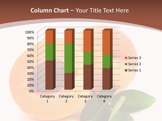 Vegetarian Food Useful PowerPoint Template