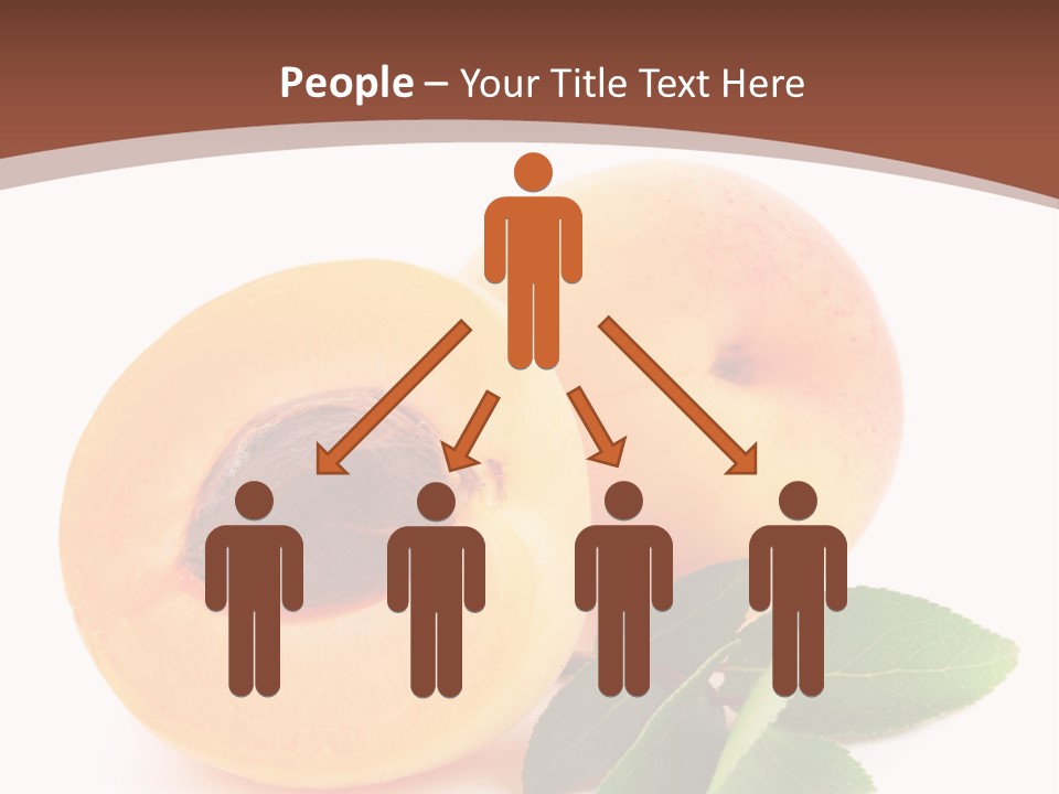 Vegetarian Food Useful PowerPoint Template