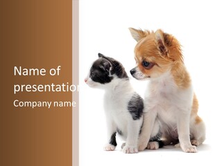 Black White Animal PowerPoint Template