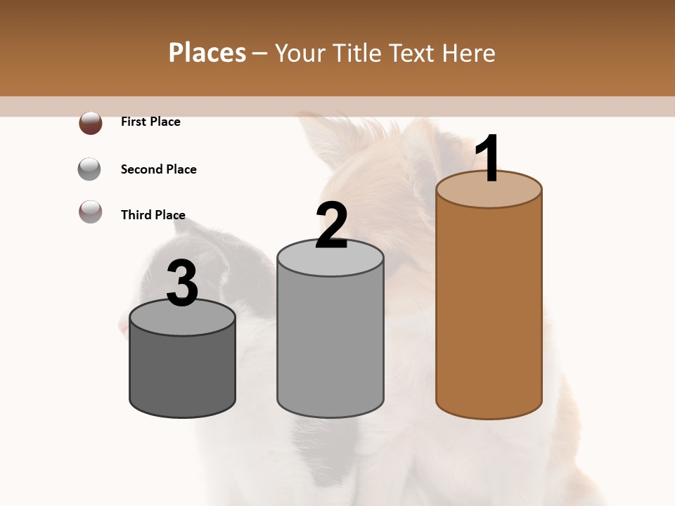 Black White Animal PowerPoint Template