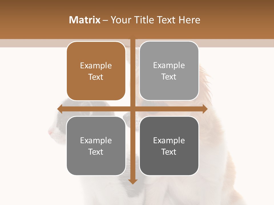 Black White Animal PowerPoint Template