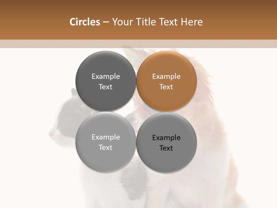 Black White Animal PowerPoint Template