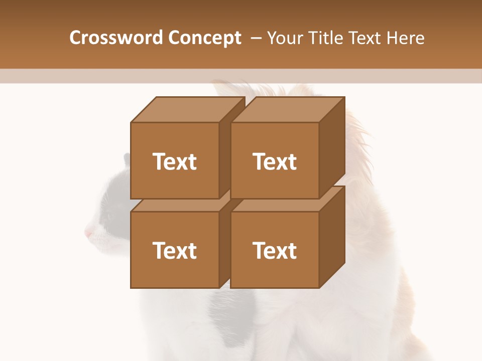 Black White Animal PowerPoint Template