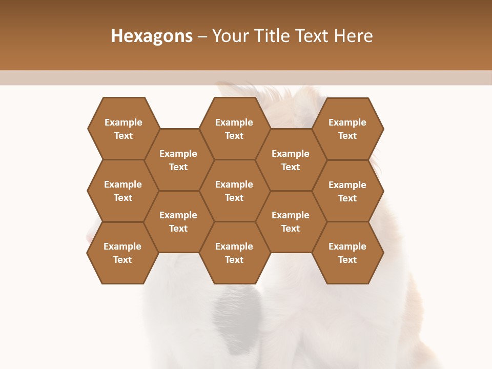 Black White Animal PowerPoint Template