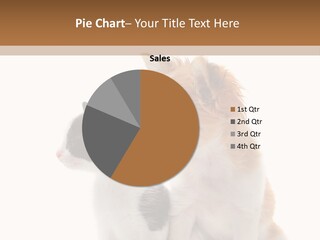 Black White Animal PowerPoint Template