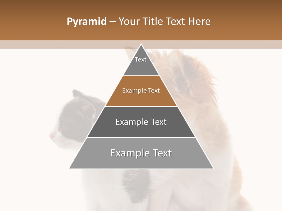 Black White Animal PowerPoint Template