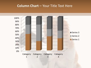 Black White Animal PowerPoint Template