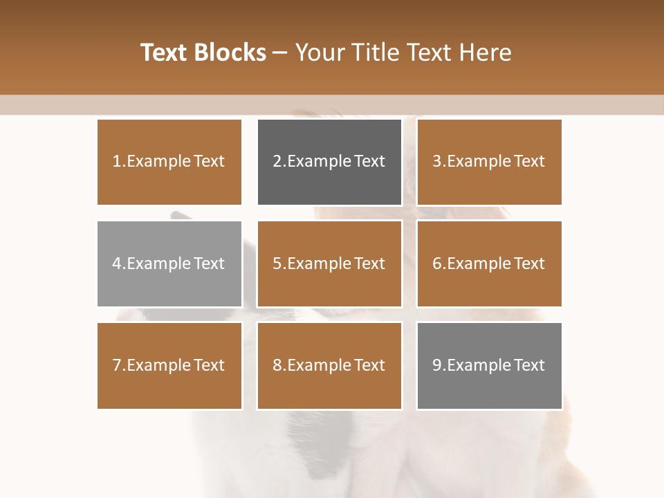 Black White Animal PowerPoint Template