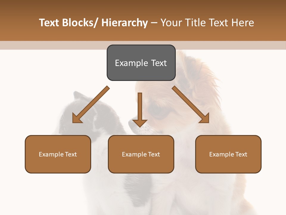 Black White Animal PowerPoint Template