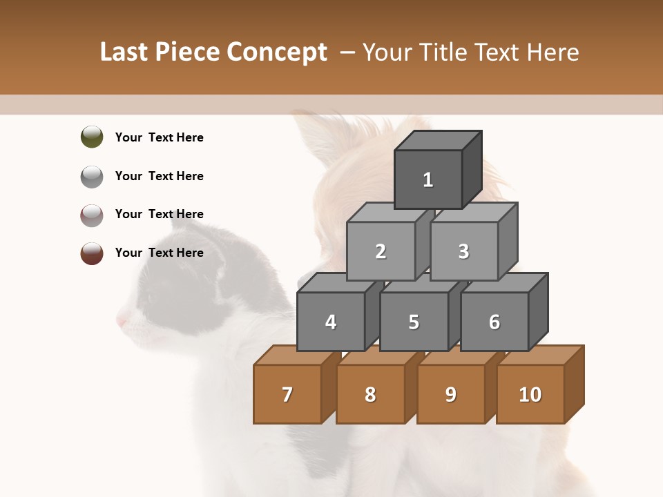 Black White Animal PowerPoint Template