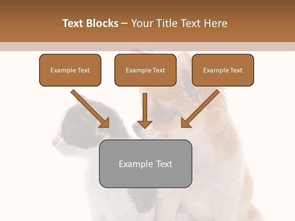 Black White Animal PowerPoint Template