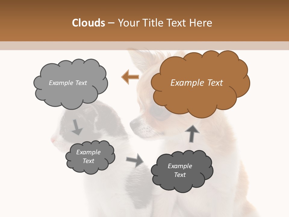 Black White Animal PowerPoint Template