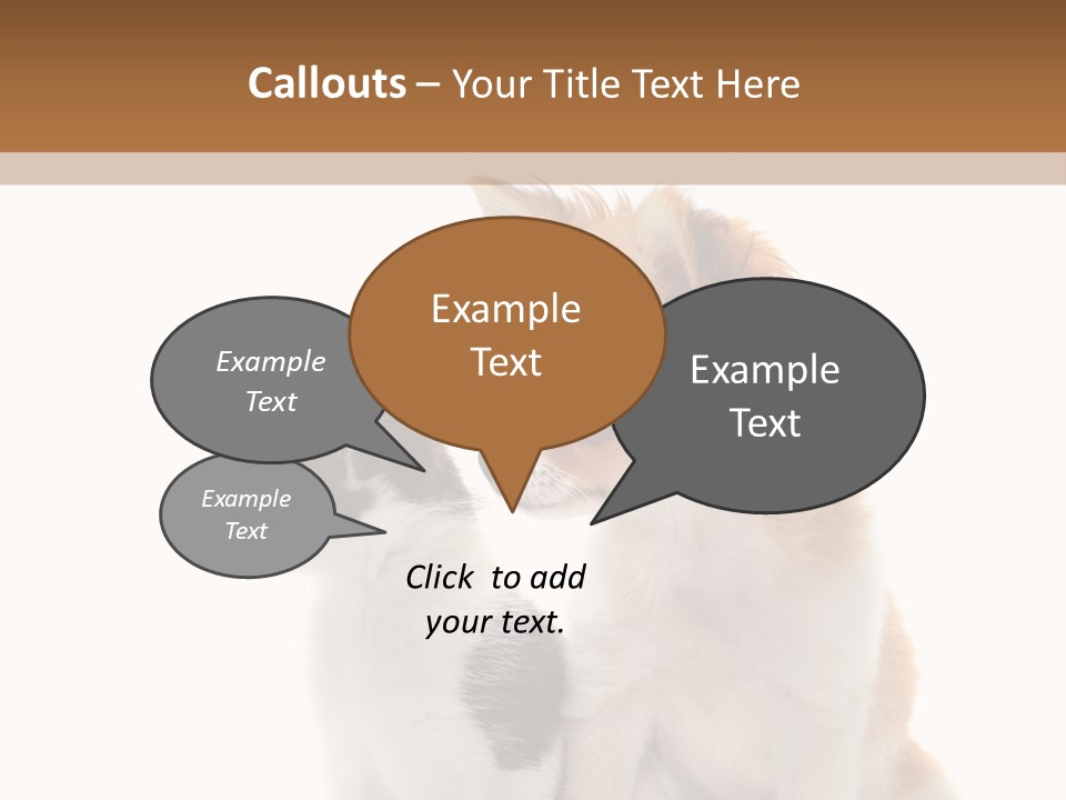 Black White Animal PowerPoint Template