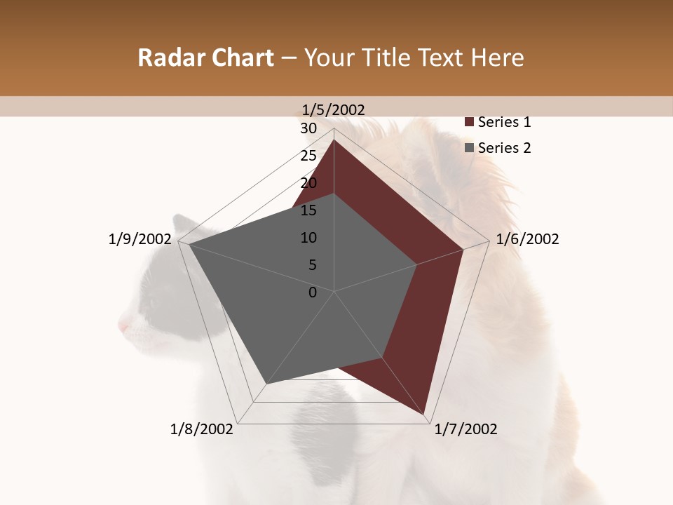 Black White Animal PowerPoint Template