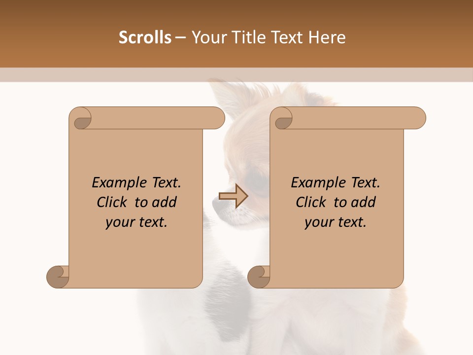 Black White Animal PowerPoint Template
