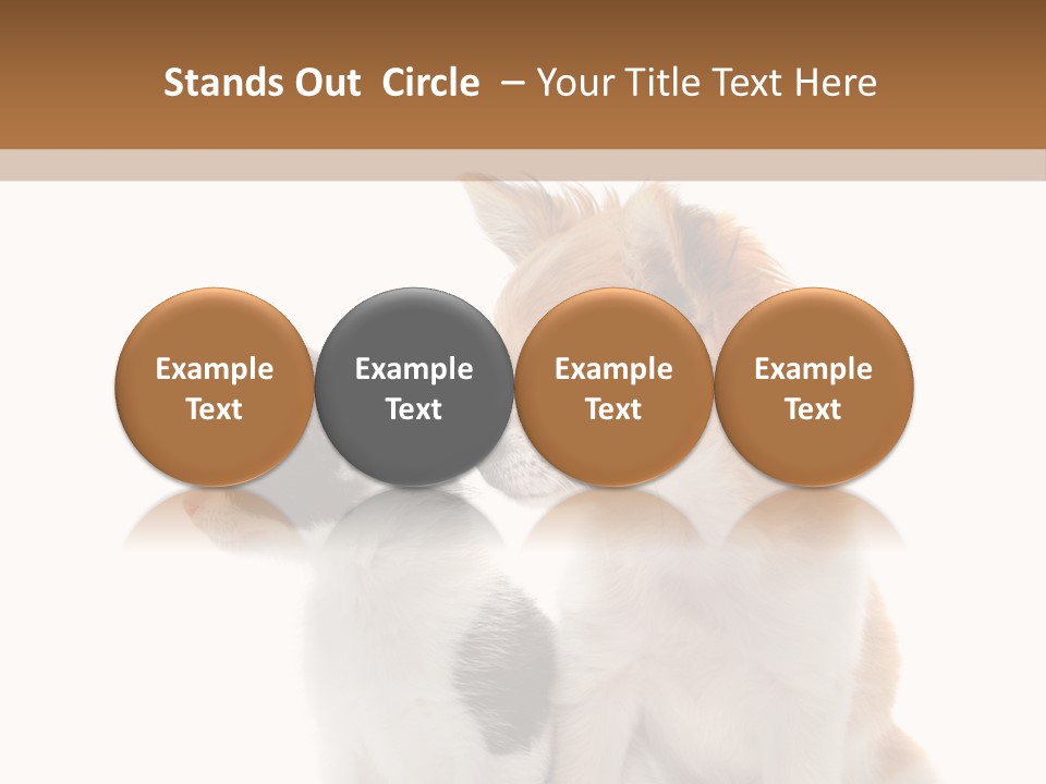 Black White Animal PowerPoint Template