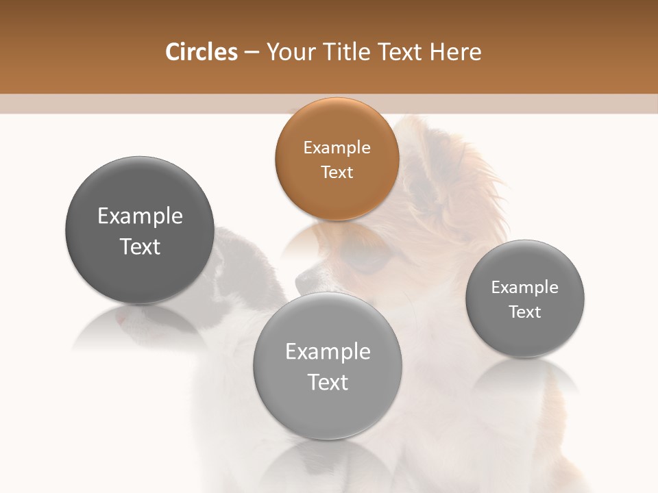 Black White Animal PowerPoint Template