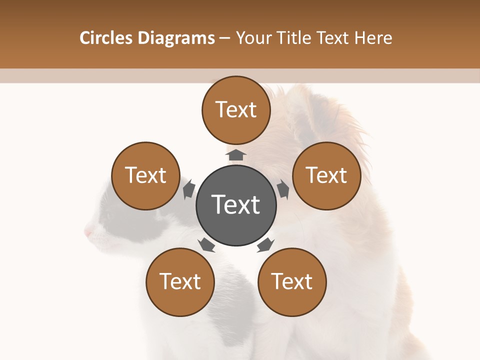 Black White Animal PowerPoint Template