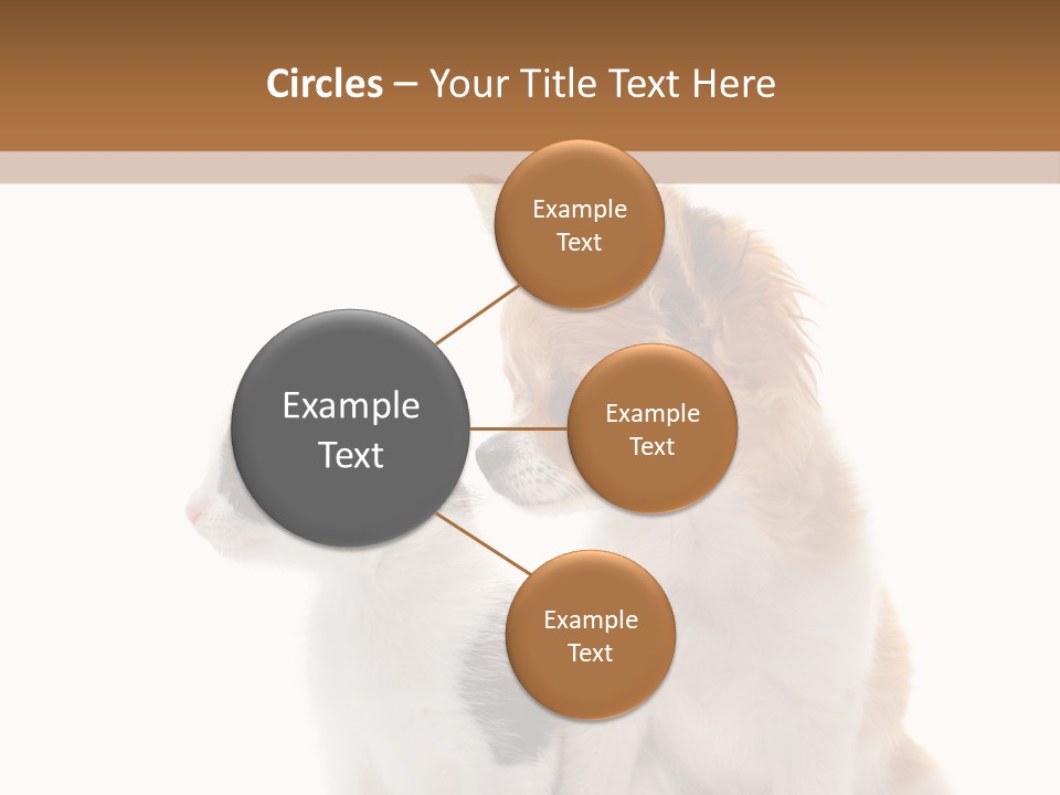 Black White Animal PowerPoint Template