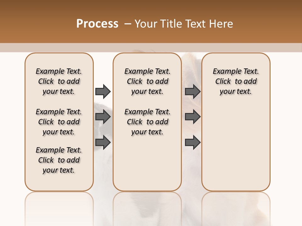 Black White Animal PowerPoint Template