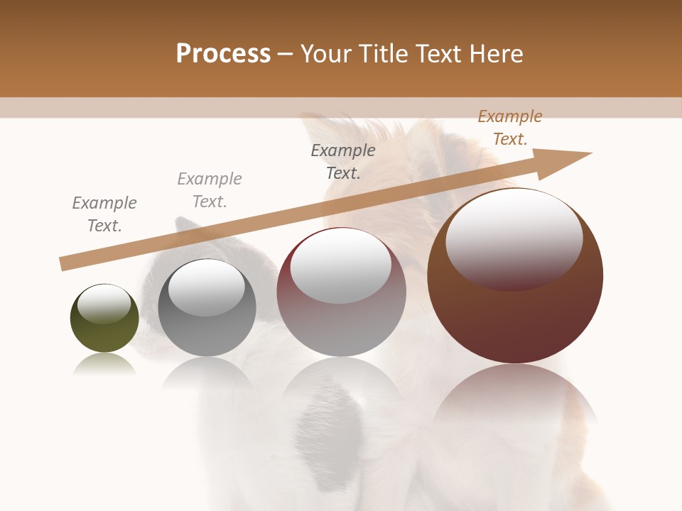 Black White Animal PowerPoint Template