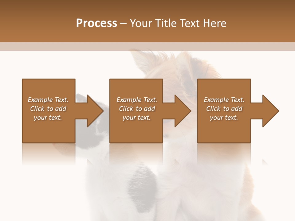 Black White Animal PowerPoint Template