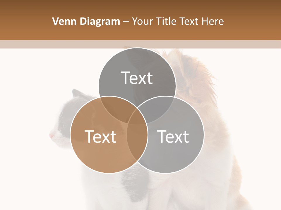 Black White Animal PowerPoint Template