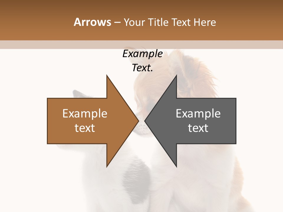 Black White Animal PowerPoint Template