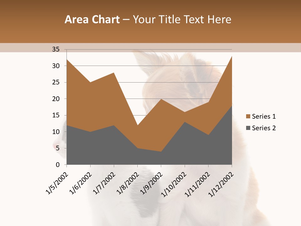 Black White Animal PowerPoint Template