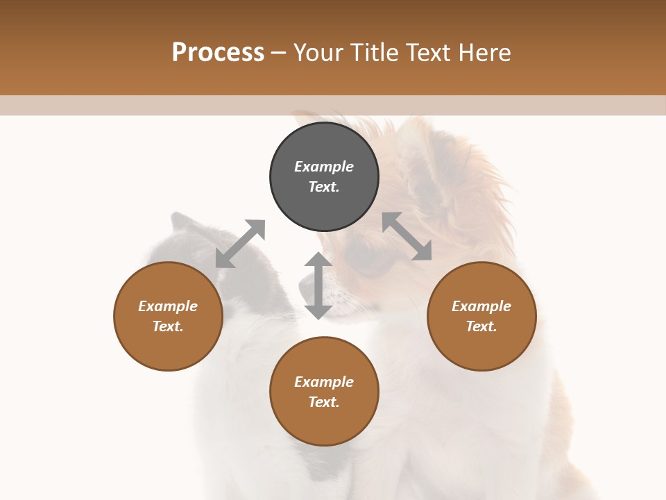 Black White Animal PowerPoint Template