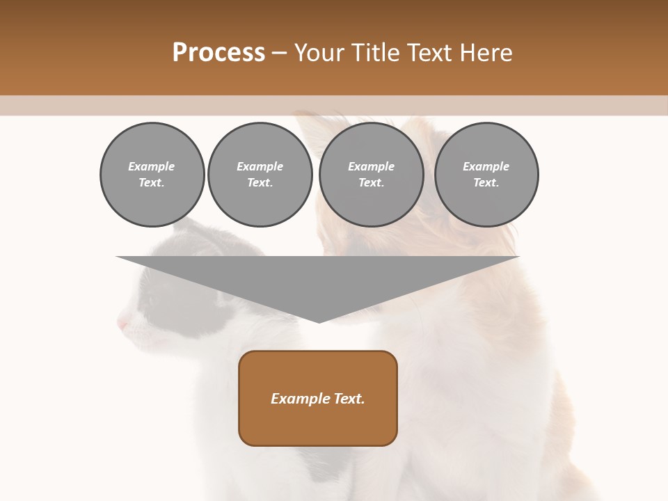 Black White Animal PowerPoint Template