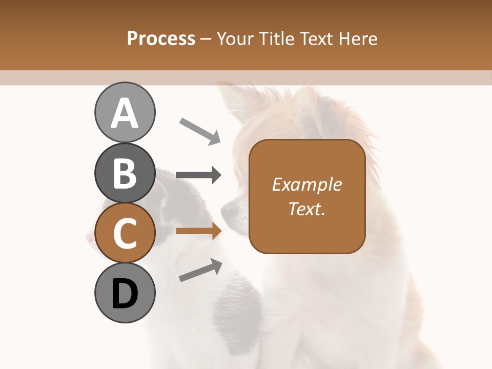 Black White Animal PowerPoint Template