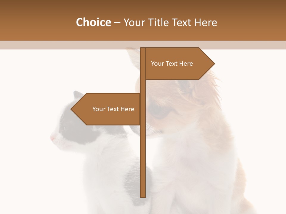 Black White Animal PowerPoint Template