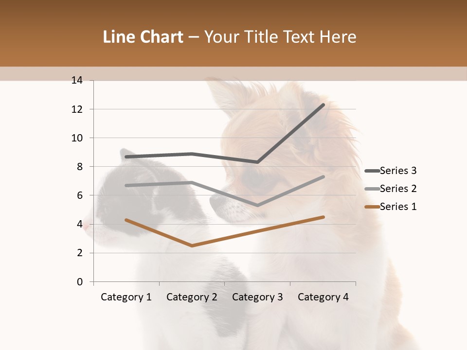 Black White Animal PowerPoint Template
