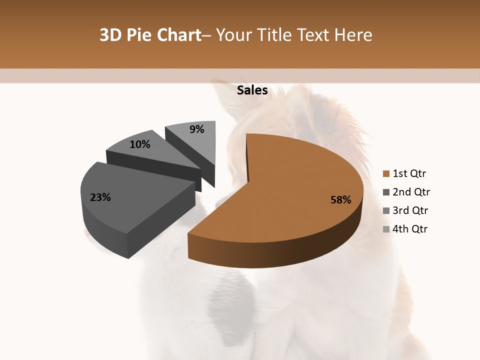 Black White Animal PowerPoint Template